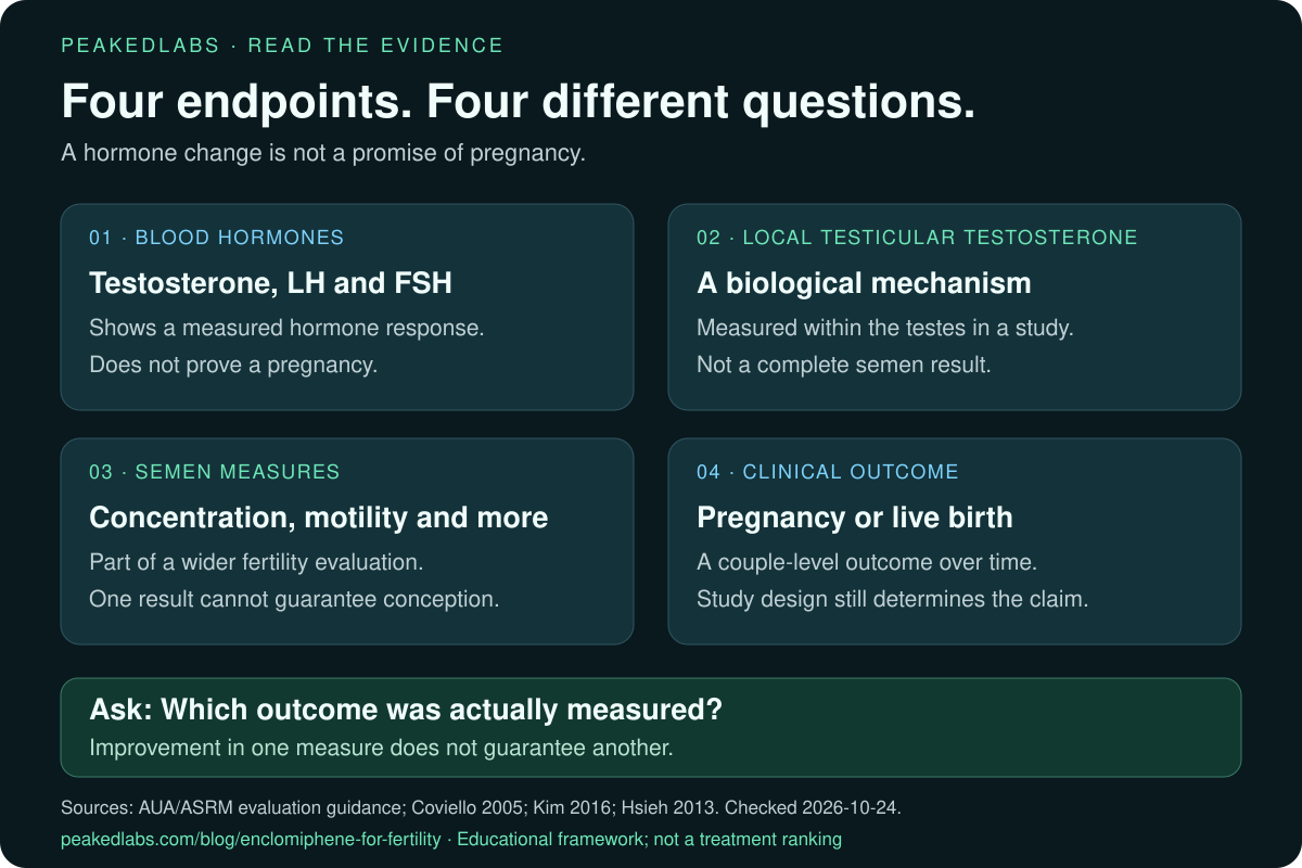 Four separate research endpoints: blood hormone levels, testosterone within the testes, semen measures, and pregnancy or live birth. Improvement in one endpoint does not establish improvement in the others.